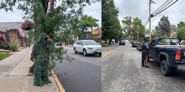 Policía en NJ con traje de arbusto de hojas falsas sorprende a 74 conductores distraido con sus telefonos celulares