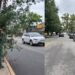 Policía en NJ con traje de arbusto de hojas falsas sorprende a 74 conductores distraido con sus telefonos celulares