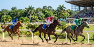 Comisión Hípica denuncia venta ilegal de Juegos virtuales, desmiente bancas deportivas