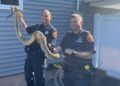 Atrapan culebra de 8 pies de largo debajo del piso de casa con familia en Nueva Jersey