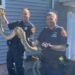 Atrapan culebra de 8 pies de largo debajo del piso de casa con familia en Nueva Jersey
