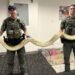 Atrapan enorme serpiente en Coney Island – Brooklyn; dominicanos visitan el lugar