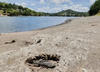 Estados Unidos declara zona de desastre por sequía en algunas partes de Puerto Rico
