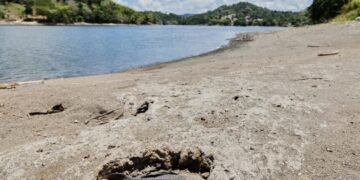Estados Unidos declara zona de desastre por sequía en algunas partes de Puerto Rico