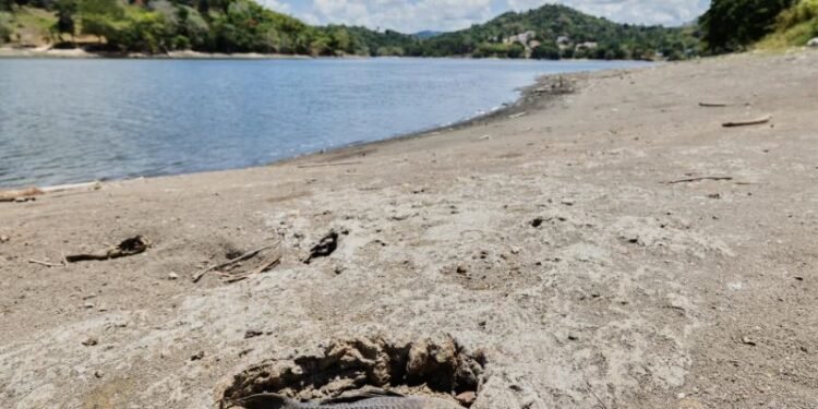 Estados Unidos declara zona de desastre por sequía en algunas partes de Puerto Rico