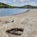 Estados Unidos declara zona de desastre por sequía en algunas partes de Puerto Rico