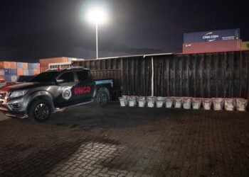 DNCD incauta 303 paquetes de presunta cocaína ocultas en el Puerto Caucedo