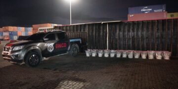 DNCD incauta 303 paquetes de presunta cocaína ocultas en el Puerto Caucedo