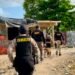 Arrestan 44 personas e incautan más de 13,000 gramos de drogas en SDE