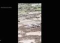 Cerca de 80 personas fueron rescatadas de las inundaciones en el Gran Cañón