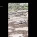 Cerca de 80 personas fueron rescatadas de las inundaciones en el Gran Cañón