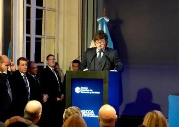 Javier Milei culpa a las feministas y al aborto de la baja natalidad en Argentina