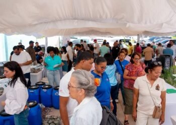 Larimar dominicano fortalece su oferta para el mercado local