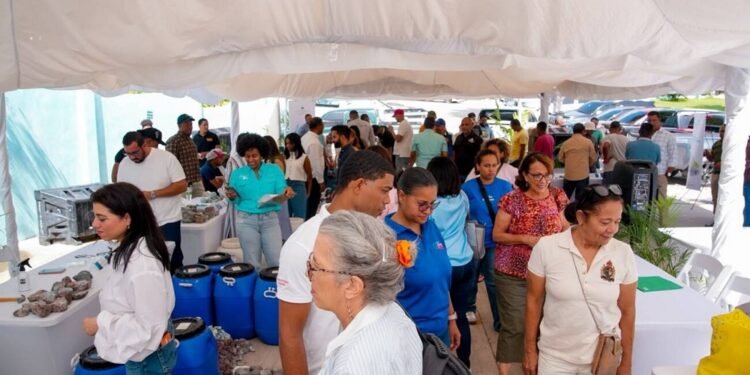 Larimar dominicano fortalece su oferta para el mercado local