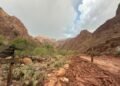 Inundación en el Gran Cañón inutiliza tubería de agua que abastece a los turistas, dicen autoridades
