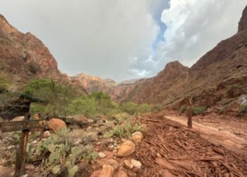 Inundación en el Gran Cañón inutiliza tubería de agua que abastece a los turistas, dicen autoridades