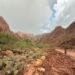 Inundación en el Gran Cañón inutiliza tubería de agua que abastece a los turistas, dicen autoridades