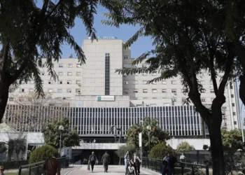 Confirman muerte en Sevilla de un hombre de 82 años por virus del Nilo