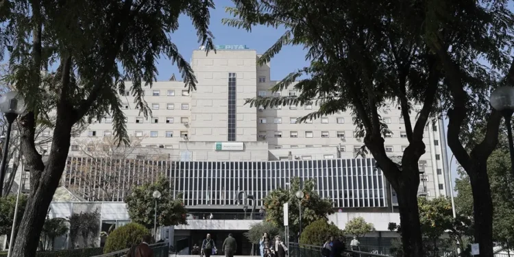 Confirman muerte en Sevilla de un hombre de 82 años por virus del Nilo