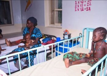 Liberan a decenas de nigerianos tras 6 meses en cautiverio yihadista: “Vimos muerte y sufrimiento”