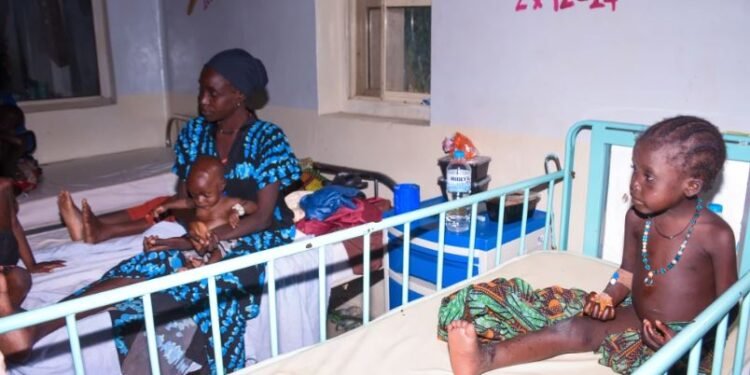 Liberan a decenas de nigerianos tras 6 meses en cautiverio yihadista: “Vimos muerte y sufrimiento”