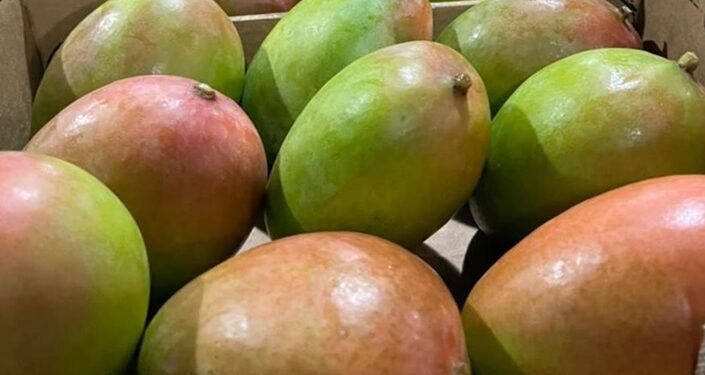Retiran del mercado de NY, NJ, CT y PA mangos por riesgo de salmonela