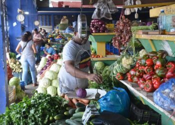 Leonel: “las importaciones agropecuarias se han duplicado con el PRM” en perjuicio de productores nacionales