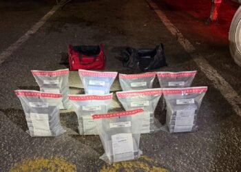 DNCD ocupa 42 paquetes de presunta cocaína en Puerto Caucedo