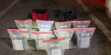 DNCD ocupa 42 paquetes de presunta cocaína en Puerto Caucedo