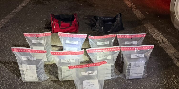 DNCD ocupa 42 paquetes de presunta cocaína en Puerto Caucedo
