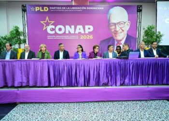 Dirigentes del PLD reciben instrucciones finales para la organización y montajes de la Consulta
