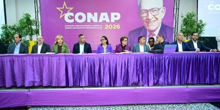 Dirigentes del PLD reciben instrucciones finales para la organización y montajes de la Consulta