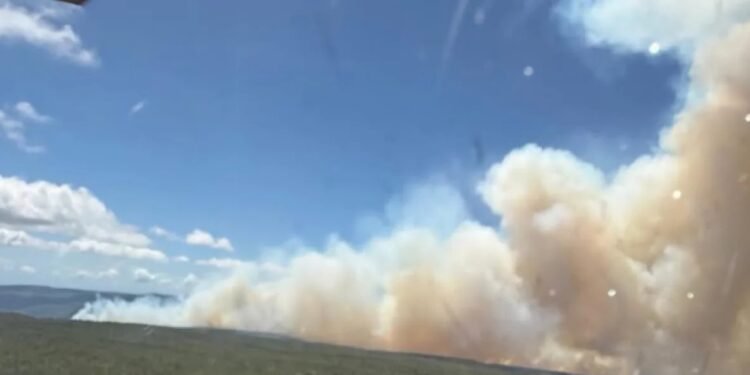 Cierran temporalmente  Parque Nacional Sierra de Bahoruco por incendio forestal