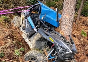 buggy