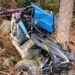 buggy