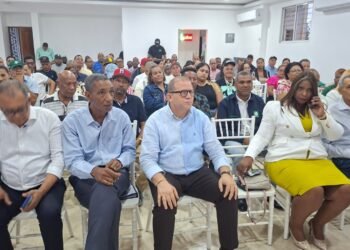 Rafael Castillo activa estructura territorial en SDE