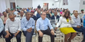 Rafael Castillo activa estructura territorial en SDE