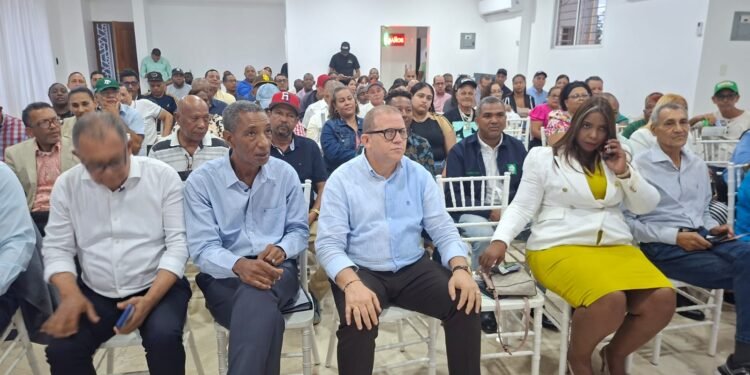 Rafael Castillo activa estructura territorial en SDE