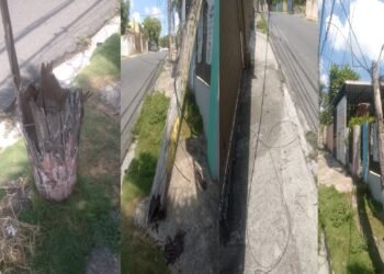 Residentes en Sol de Luz exigen a EDEESTE sustitución urgente de postes derribados por un camión