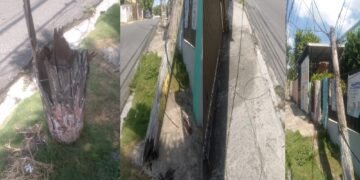 Residentes en Sol de Luz exigen a EDEESTE sustitución urgente de postes derribados por un camión
