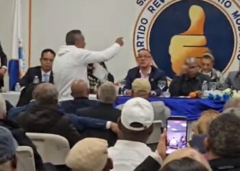 CNEI crea comisión colegiada en seccional PRM-NY