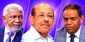 Dirigentes del PLD asegura que la inversión pública en los gobiernos del PRM está en el suelo