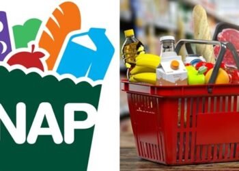 Entra en vigor en EE. UU. aumento del beneficio máximo mensual del SNAP; beneficiaría a dominicanos
