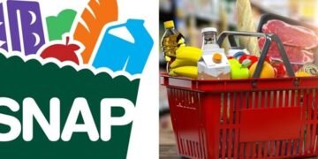 Entra en vigor en EE. UU. aumento del beneficio máximo mensual del SNAP; beneficiaría a dominicanos