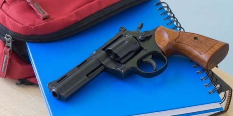 Autoridades NYC han incautado seis armas de fuego en escuelas públicas