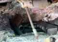 DNCD captura hombre con armas y municiones ocultas en camioneta en SDO
