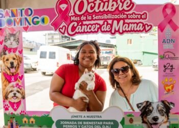 Alcaldía DN esteriliza 107 perros y gatos en jornada de bienestar animal