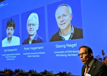 El Nobel de Medicina premia a 3 científicos por investigar la actividad cerebral