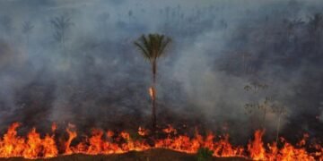 Advierten que avances de la ultraderecha en el Congreso de Brasil amenazan protecciones ambientales