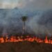 Advierten que avances de la ultraderecha en el Congreso de Brasil amenazan protecciones ambientales